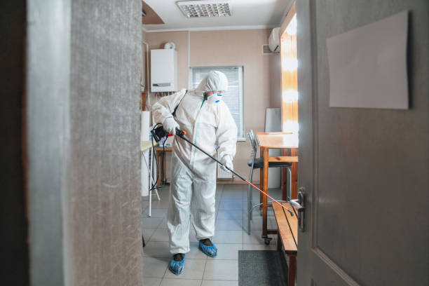Best Asbestos and Lead Testing During Mold Inspection  in Greensburg, IN